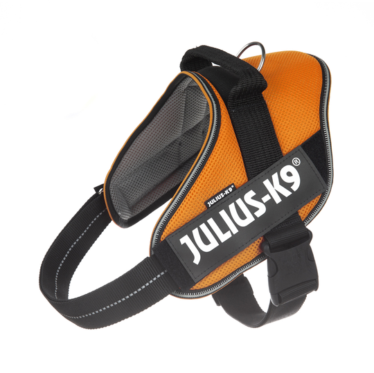 JULIUS-K9 IDC® POWAIR valjaat - oranssi - 2-koko: rinnanympärys 71 - 96 cm