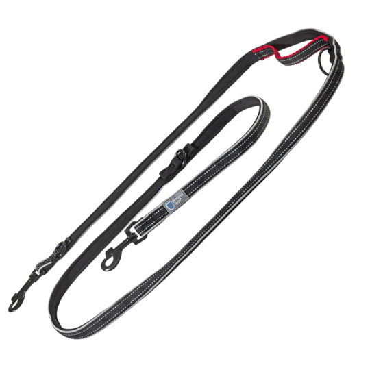 Dog Control -hihna musta - 220 cm pitkä, 15 mm leveä