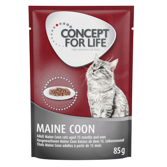 Concept for Life Maine Coon Adult Ragout - 12 x 85 g