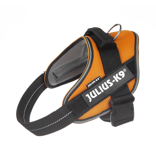 JULIUS-K9 IDC® POWAIR valjaat - oranssi - 0-koko: rinnanympärys 58 - 76 cm