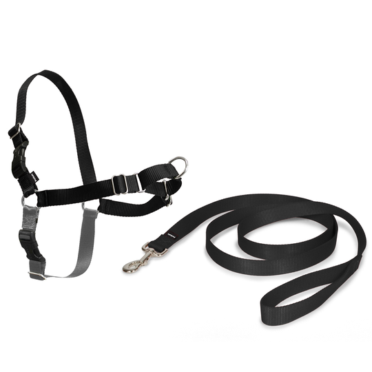 PetSafe® Easy Walk® Harness - L-koko: rinnanympärys 66 - 91 cm