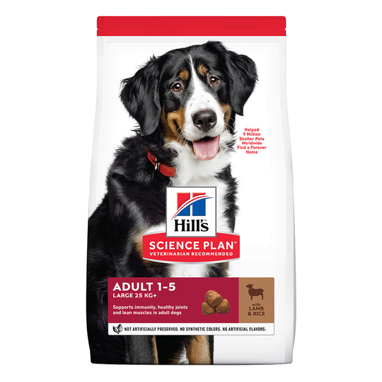 Hill's Science Plan -säästöpakkaus: 2 x suuri pakkaus - 2 x 14 kg Adult Large Breed Lamb & Rice