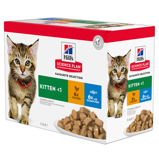 Hill's Science Plan Kitten - 12 x 85 g kalalajitelma