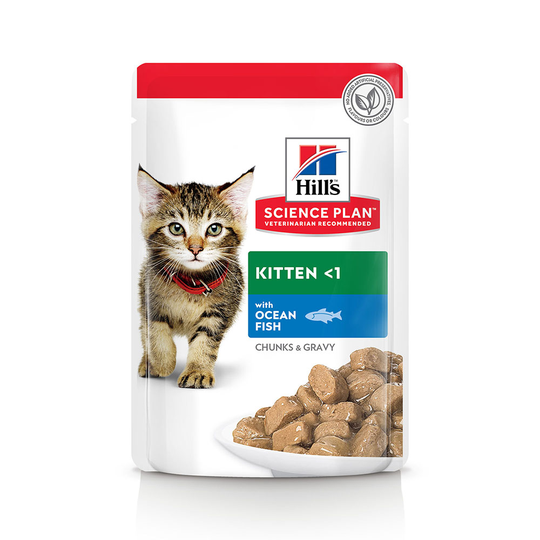 Hill's Science Plan Kitten - 12 x 85 g Ocean Fish