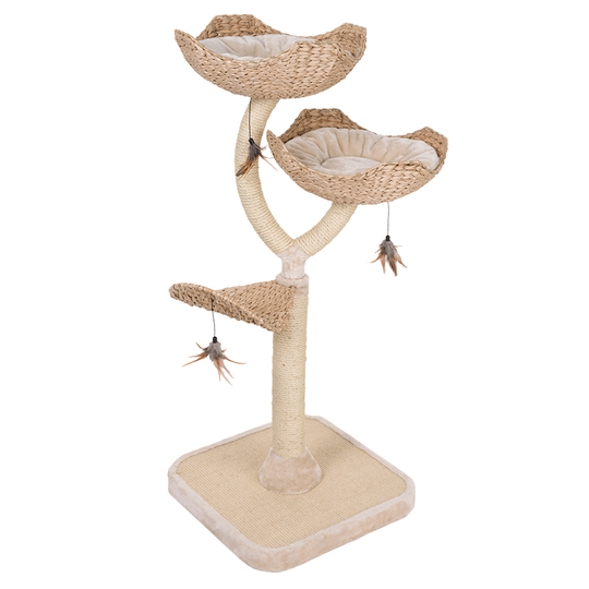 Cat´s Flower -raapimispuu - kerma