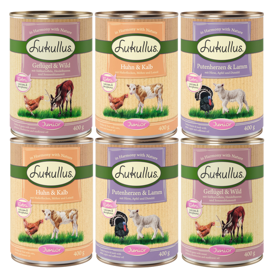 Lukullus Junior -kokeilupakkaus, monta makua - mix 1: 6 x 400 g