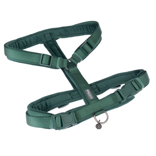 Nomad Tales Blush -valjaat, emerald - XS-koko: 32-48 cm rinnanympärys, L 15 mm