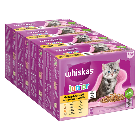 Whiskas Junior Pouches -säästöpakkaus 48 x 85 g - siipikarjavalikoima hyytelössä