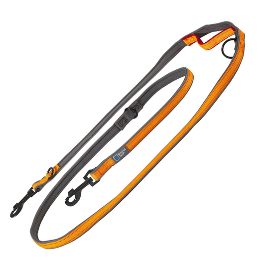 ArmoredTech Dog Control -talutushihna, oranssi - 220 cm pituus, 20 mm leveys