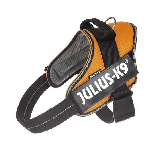 JULIUS-K9 IDC® POWAIR valjaat - oranssi - 1-koko: rinnanympärys 63 - 85 cm