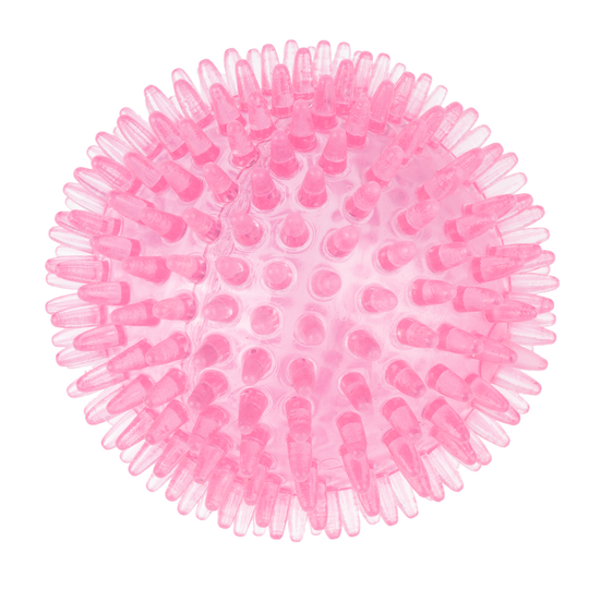 TIAKI-koiranlelu piikkipallo - Ø 8,3 cm