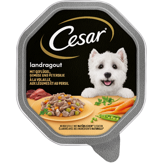 Cesar-rasiat 14 x 150 g - Country Ragout, siipikarja, vihannekset & persilja