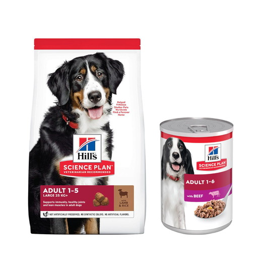 Hill's Science Plan -kuivaruoka + 6 x 370 g märkäruokaa kaupan päälle! - 14 kg Adult Large Lamb & Rice + 6 x 370 g Adult nauta