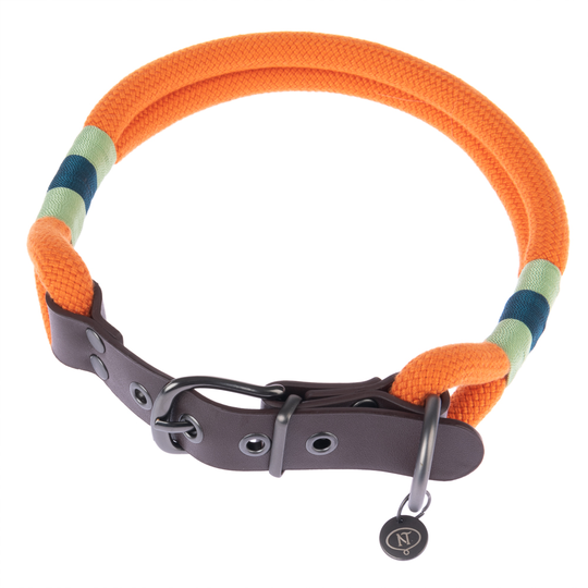 Nomad Tales Spirit -kaulapanta, tangerine - XS-koko: 26-32 cm kaulanympärys, L 30 mm